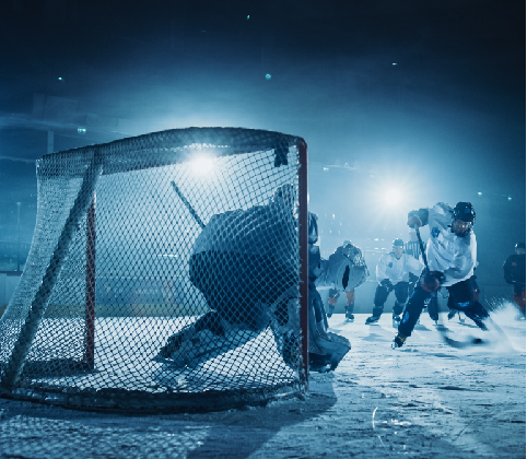 Rochester RedWings Goalie Camp
