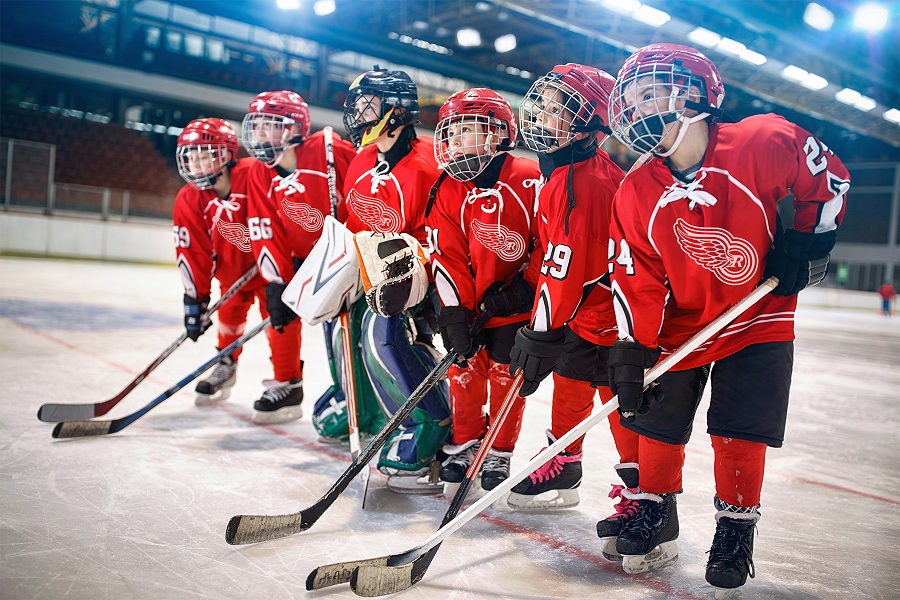 Rochester RedWings Team Hockey